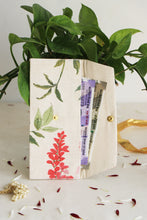 Coral Bloom Money Envelope